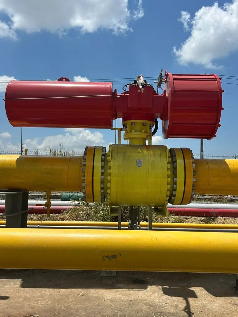 SDV ball valve with pneumatic actuator at the Cai Mep – Phu My gas distribution station